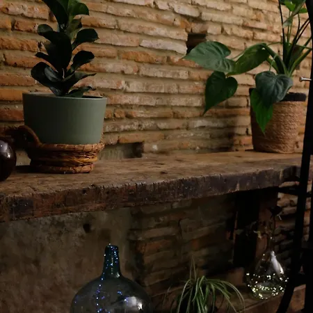 Domaine De La Terrasse Carbonne