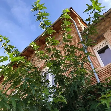 Domaine De La Terrasse Carbonne