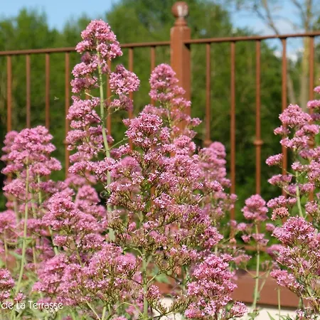 Domaine De La Terrasse Lägenhet