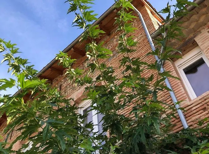 Domaine De La Terrasse Carbonne